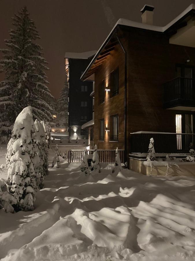 Petry Apartment